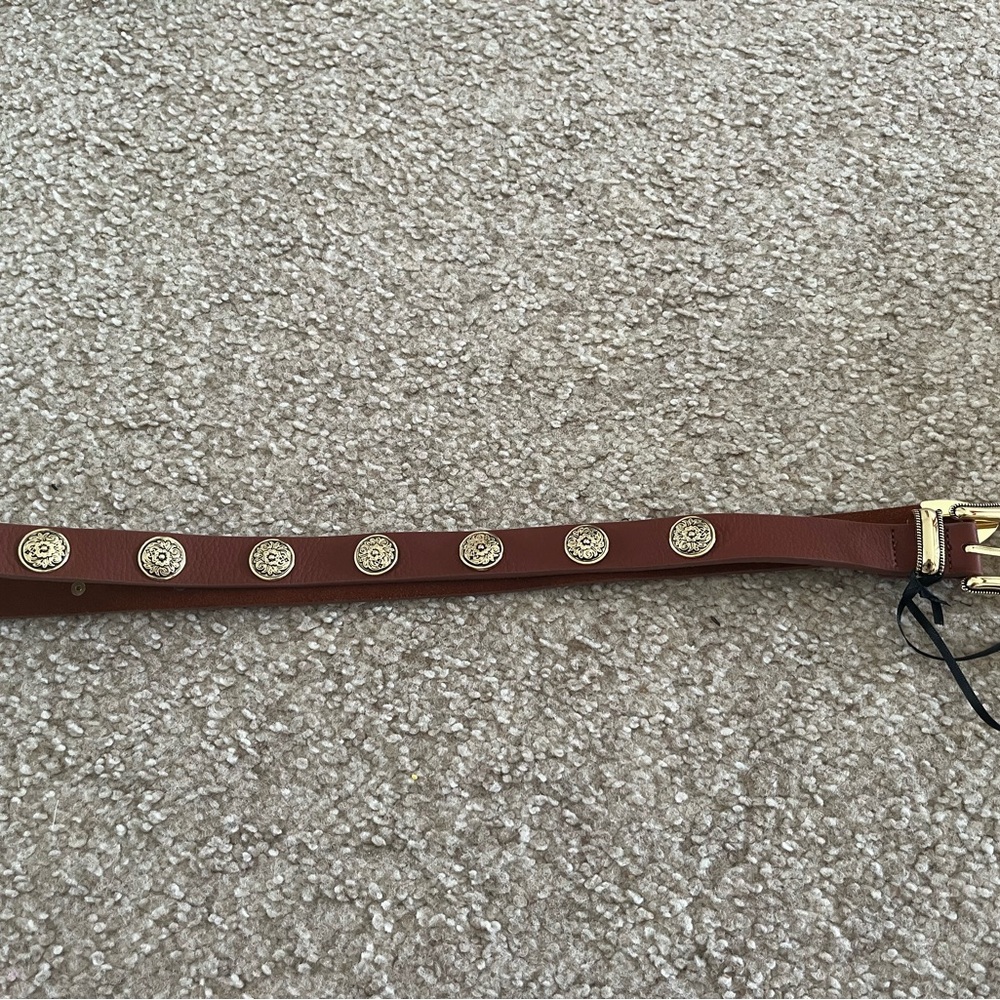 B-Low the Belt Brown Belt with Gold Accents